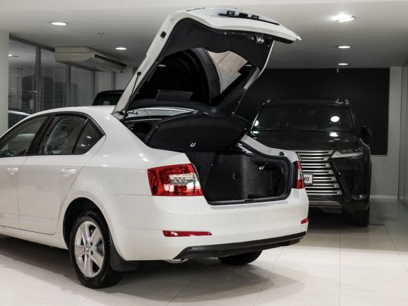 Skoda Octavia, Робот, 2013 фото 1