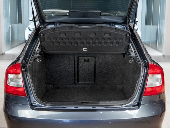 Skoda Octavia, Робот, 2010 фото 16