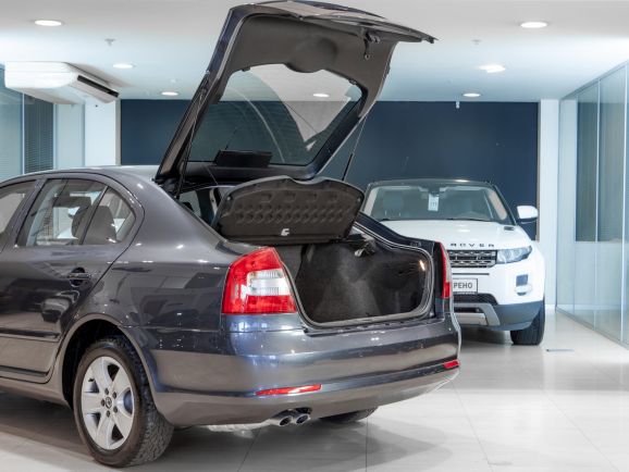 Skoda Octavia, Робот, 2010 фото 1